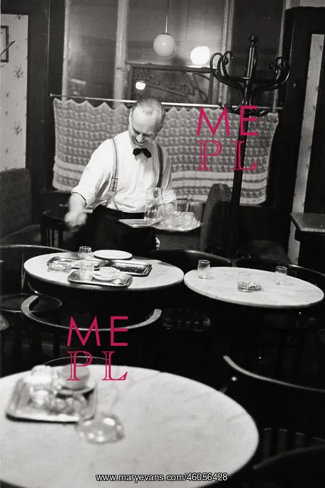 : Waiter in Cafe Hawelka : Waiter in Cafe Hawelka