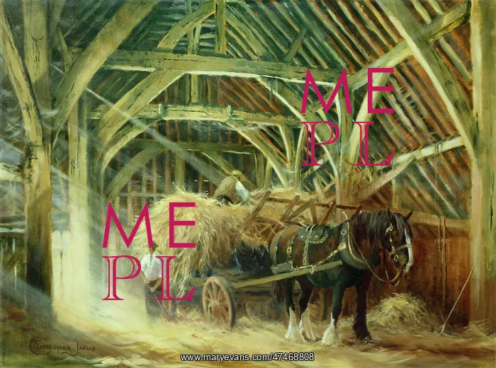  : Waiting in the Barn. Shire Horse