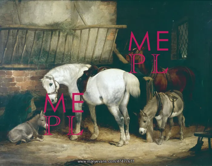 : Waiting for Master – horses in a stable : Waiting for Master – horses in a stable