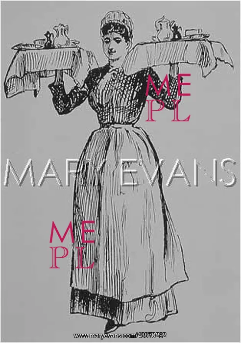 : WAITRESS With TWO TRAYS : WAITRESS With TWO TRAYS