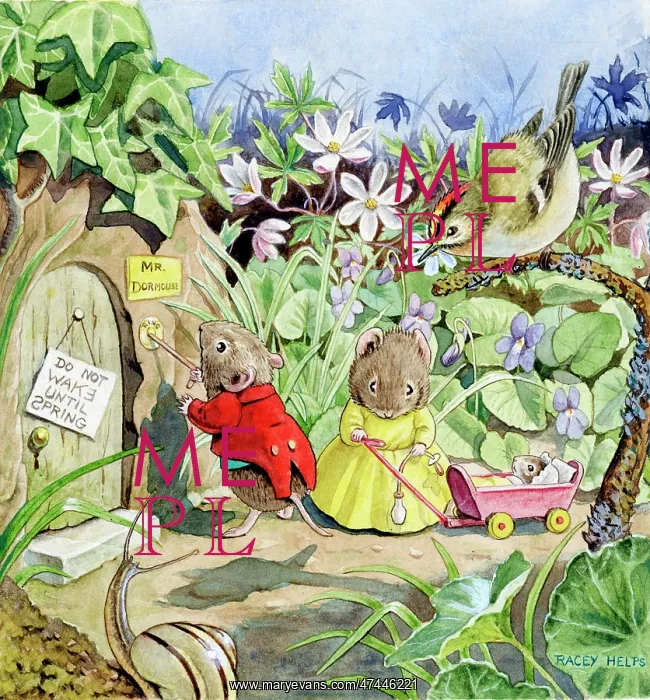 : Waking Up Mr Dormouse : Waking Up Mr Dormouse
