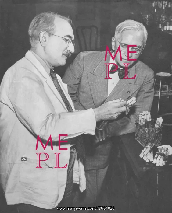 : Waksman and Fleming, Antibiotic Researchers : Waksman and Fleming, Antibiotic Researchers