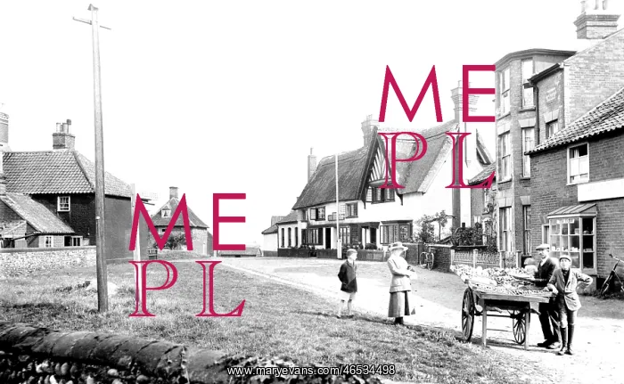  : Walberswick, Village 1919