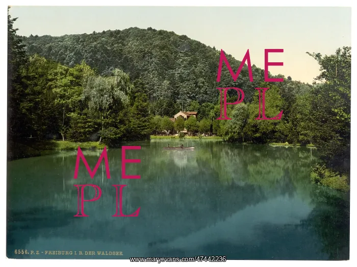 : The Waldsee, Freiburg, Baden, Germany : The Waldsee, Freiburg, Baden, Germany