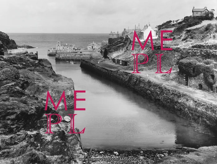 : WALES / ANGLESEY : WALES / ANGLESEY