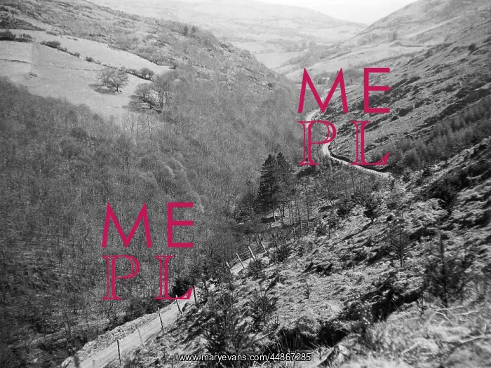 : WALES / ARTISTS VALLEY : WALES / ARTISTS VALLEY