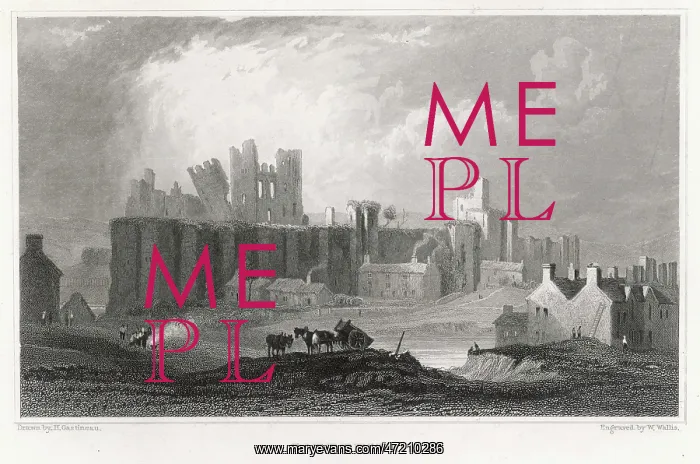  : WALES / CAERPHILLY CASTLE