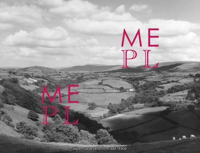 : WALES / CARMARTHENSHIRE : WALES / CARMARTHENSHIRE