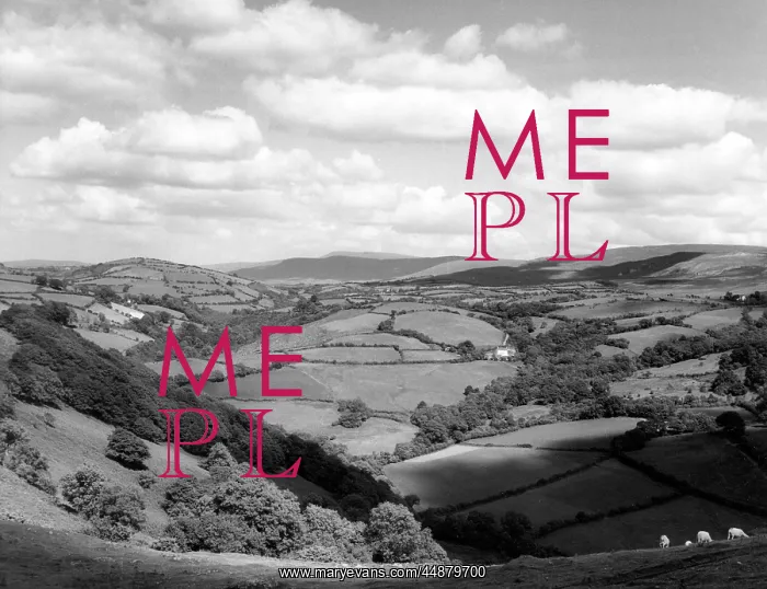 : WALES / CARMARTHENSHIRE : WALES / CARMARTHENSHIRE