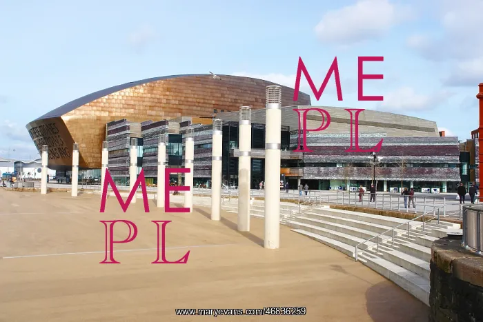 : Wales Millenium Centre : Wales Millenium Centre