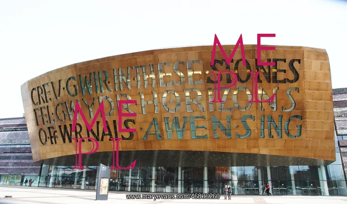: Wales Millenium Centre, Cardiff Bay : Wales Millenium Centre, Cardiff Bay