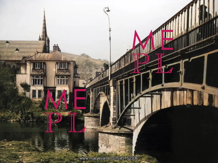 : WALES / NEWTOWN : WALES / NEWTOWN