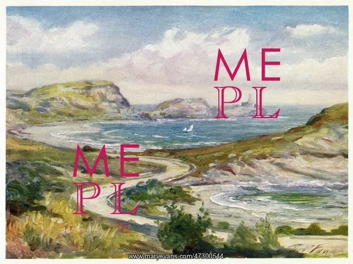  : WALES / NR MUMBLES 1905