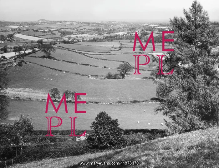  : WALES / PENTRE BEIRDD