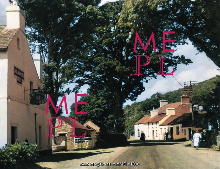 : WALES / PUMPSAINT : WALES / PUMPSAINT