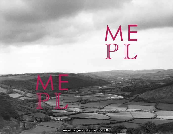 : WALES / RHEIDOL VALLEY : WALES / RHEIDOL VALLEY