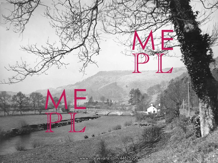 : WALES / RIVER DOVEY : WALES / RIVER DOVEY