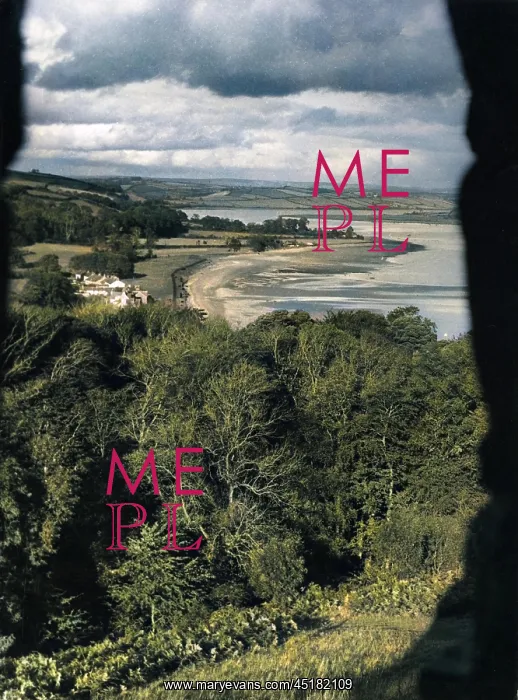 : WALES / RIVER TOWY : WALES / RIVER TOWY
