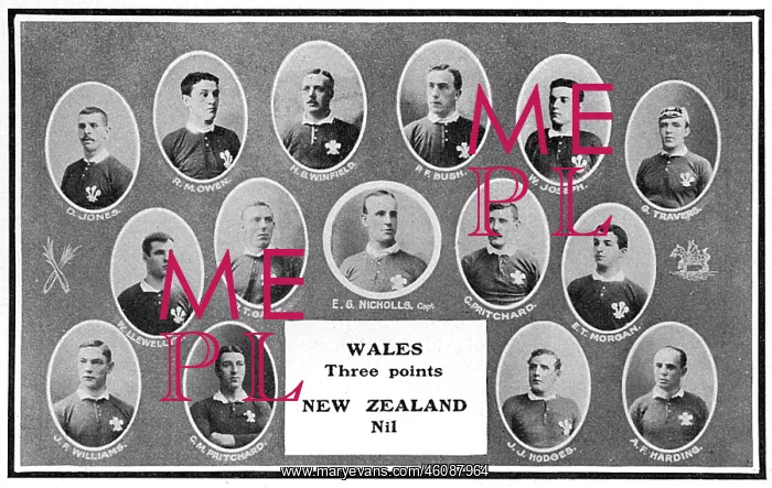 : The Wales rugby team, 1905 : The Wales rugby team, 1905