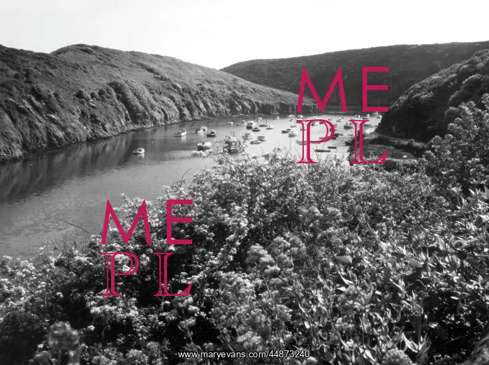 : WALES / SOLVA HARBOUR : WALES / SOLVA HARBOUR