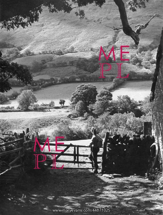 : WALES / VALES OF EWIAS : WALES / VALES OF EWIAS