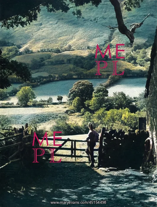 : WALES / VALES OF EWIAS : WALES / VALES OF EWIAS