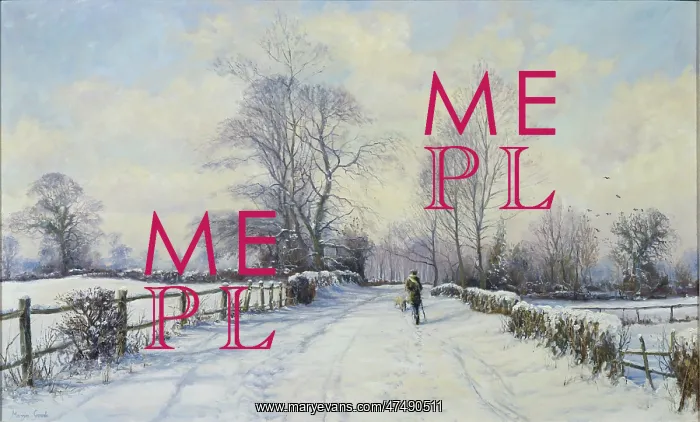 : A Walk in the Fresh Snow : A Walk in the Fresh Snow