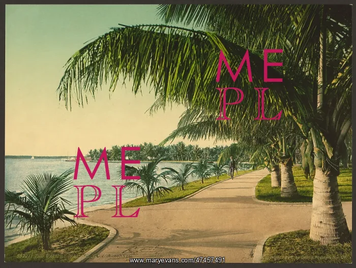  : The walk at Palm Beach
