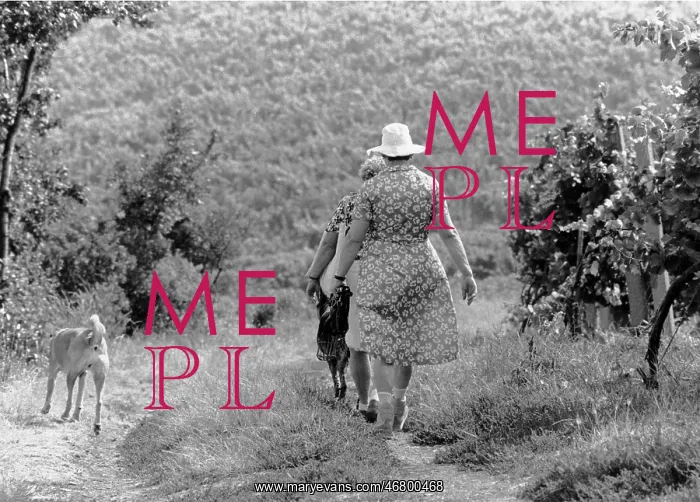 : Walk in the vineyard : Walk in the vineyard
