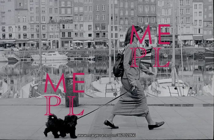 : Walking the dog : Walking the dog