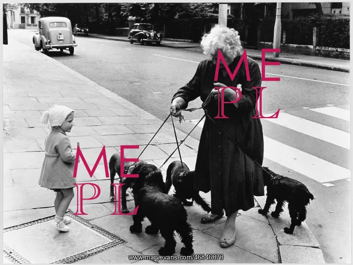 : WALKING DOGS / 1958 : WALKING DOGS / 1958
