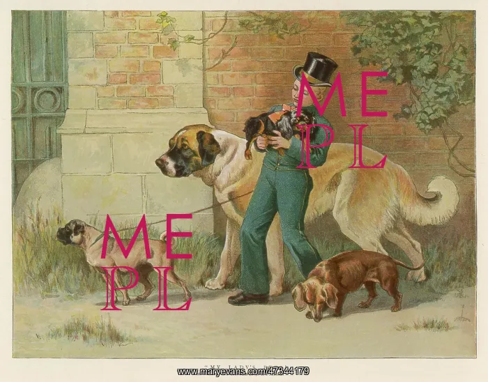 : WALKING THE DOGS : WALKING THE DOGS