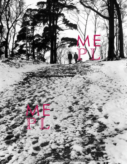 : WALKING IN THE SNOW : WALKING IN THE SNOW