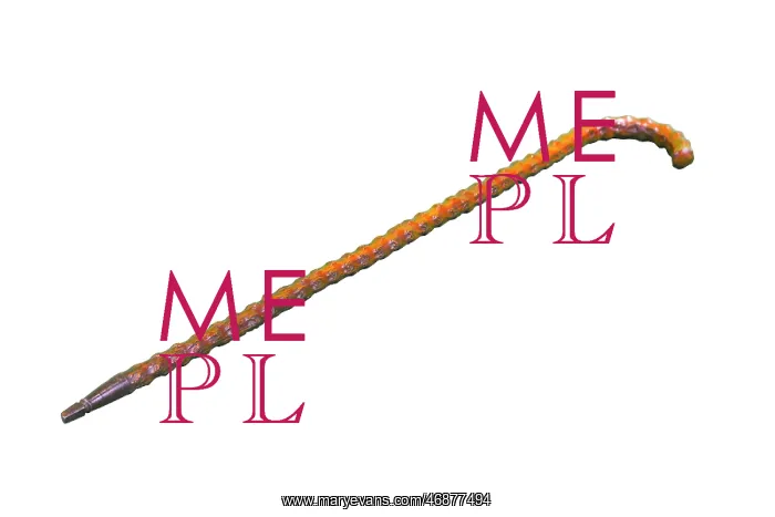: Walking Stick with Train Door Opener : Walking Stick with Train Door Opener