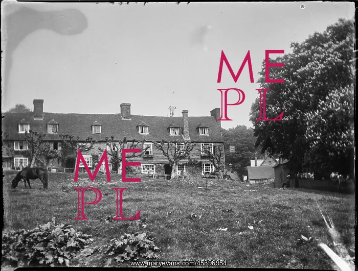 : The Walks, Groombridge, Speldhurst, Tunbridge Wells, Kent : The Walks, Groombridge, Speldhurst, Tunbridge Wells, Kent