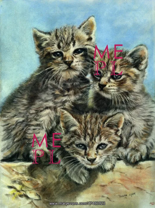  : Over the Wall ' with three Kittens