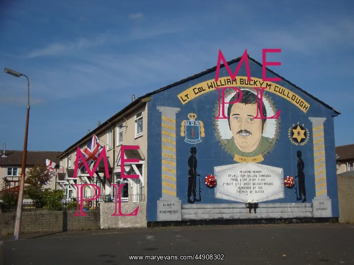 : Wall mural close up of Fallen comrades at Belfast : Wall mural close up of Fallen comrades at Belfast