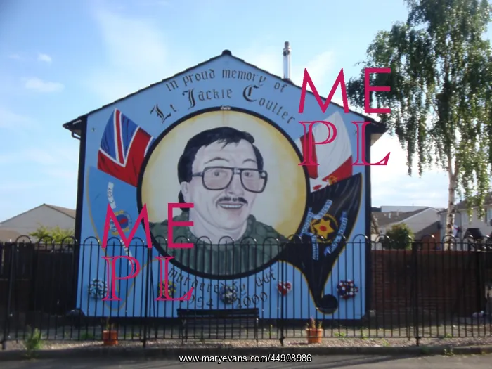 : Wall mural of LT Jackie Coulter at Belfast : Wall mural of LT Jackie Coulter at Belfast