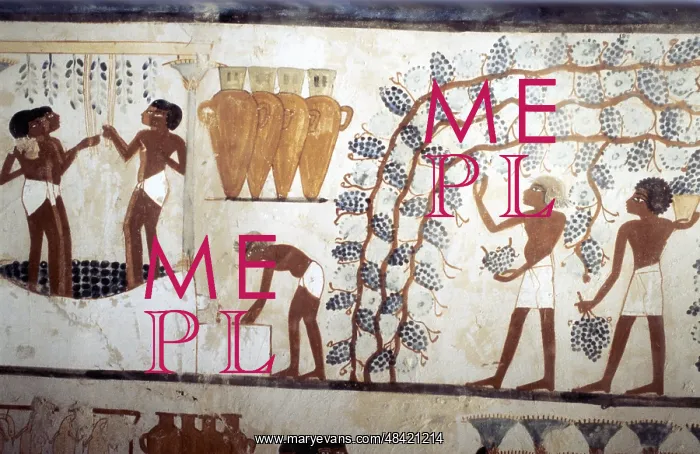 : Wall painting from the tomb of the scribe Menna : Wall painting from the tomb of the scribe Menna