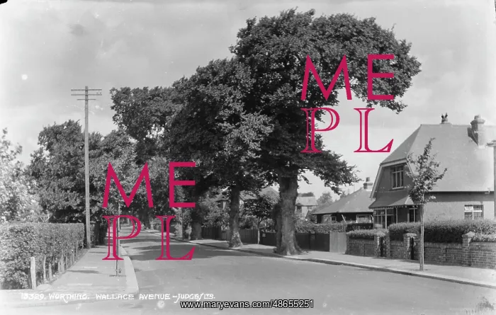 : Wallace Avenue, Worthing : Wallace Avenue, Worthing