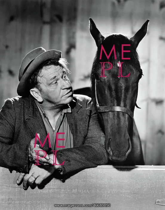 : Wallace Beery - actor man : Wallace Beery - actor man