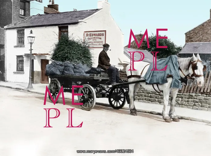  : Wallasey, May Cottage and the Nook 1898