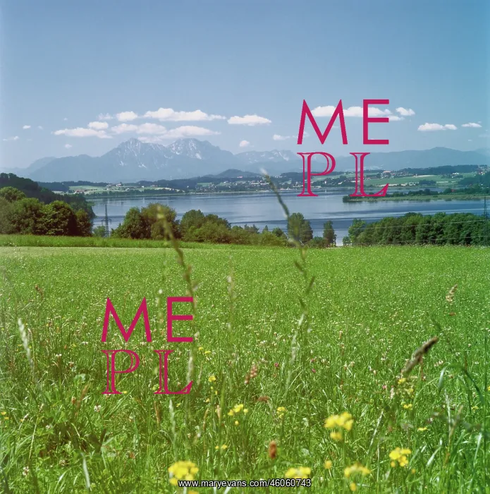 : Wallersee. View over the Wallersee on the Hohen Stauffen. Photograph. Um 2000 : Wallersee. View over the Wallersee on the Hohen Stauffen. Photograph. Um 2000