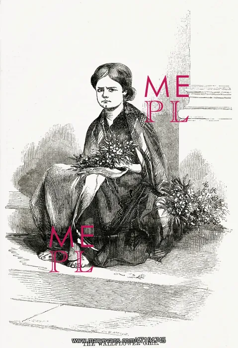 : WALLFLOWER GIRL 1850 : WALLFLOWER GIRL 1850