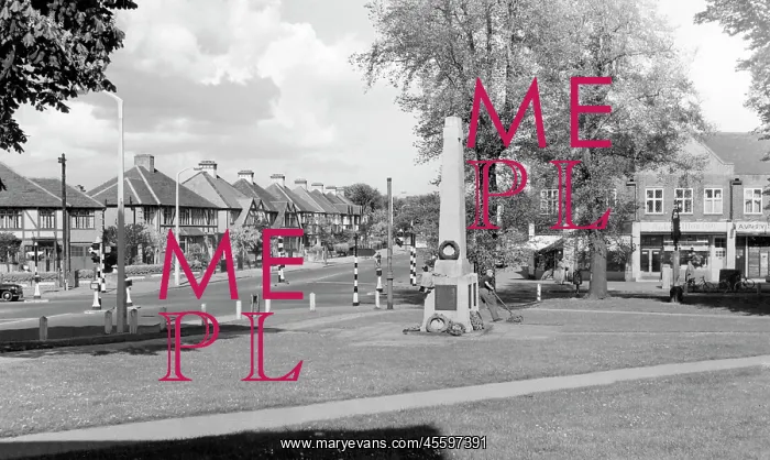  : Wallington, the Green c1960