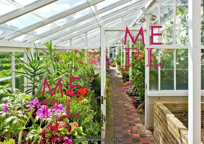 : Walmer Castle greenhouse : Walmer Castle greenhouse