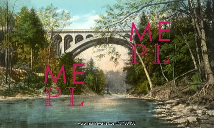  : Walnut Lane Bridge. Philadelphia