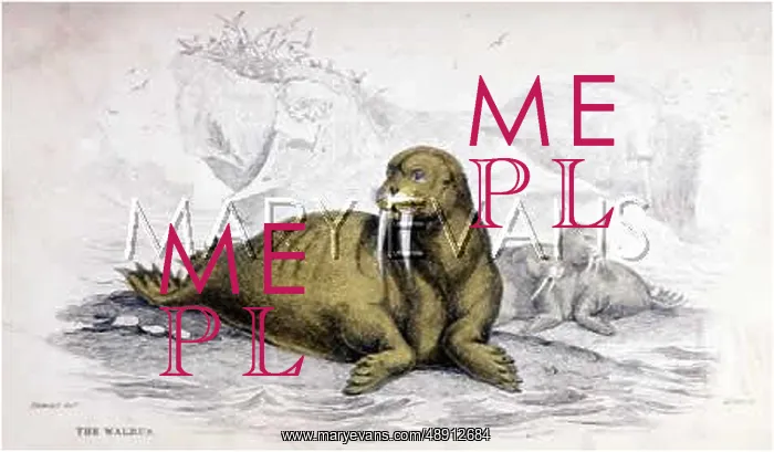  : WALRUS C1840