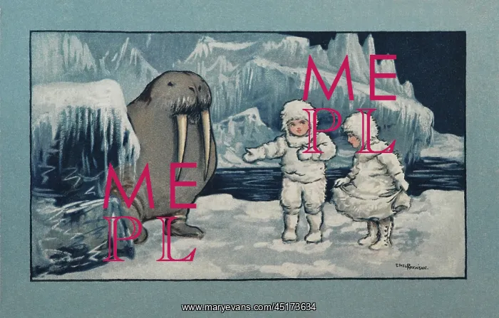 : Walrus and children : Walrus and children