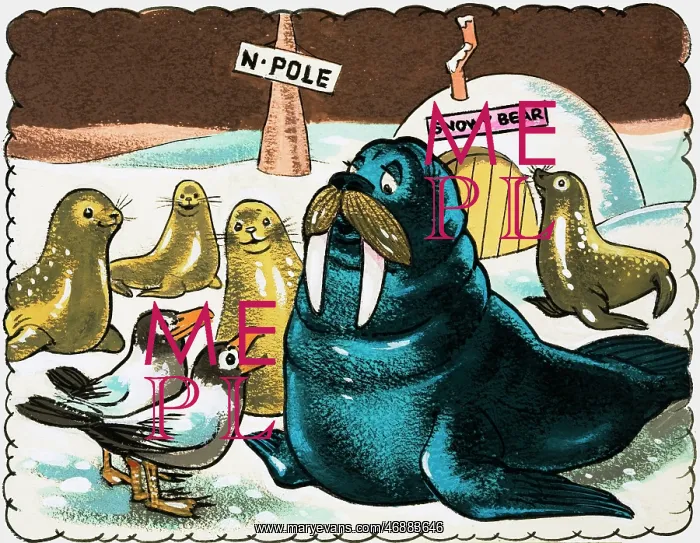  : Walrus and gulls at the North Pole